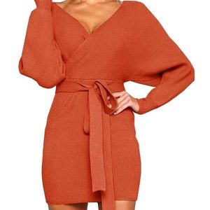 Brand new women’s long-sleeve mini sweater dress.